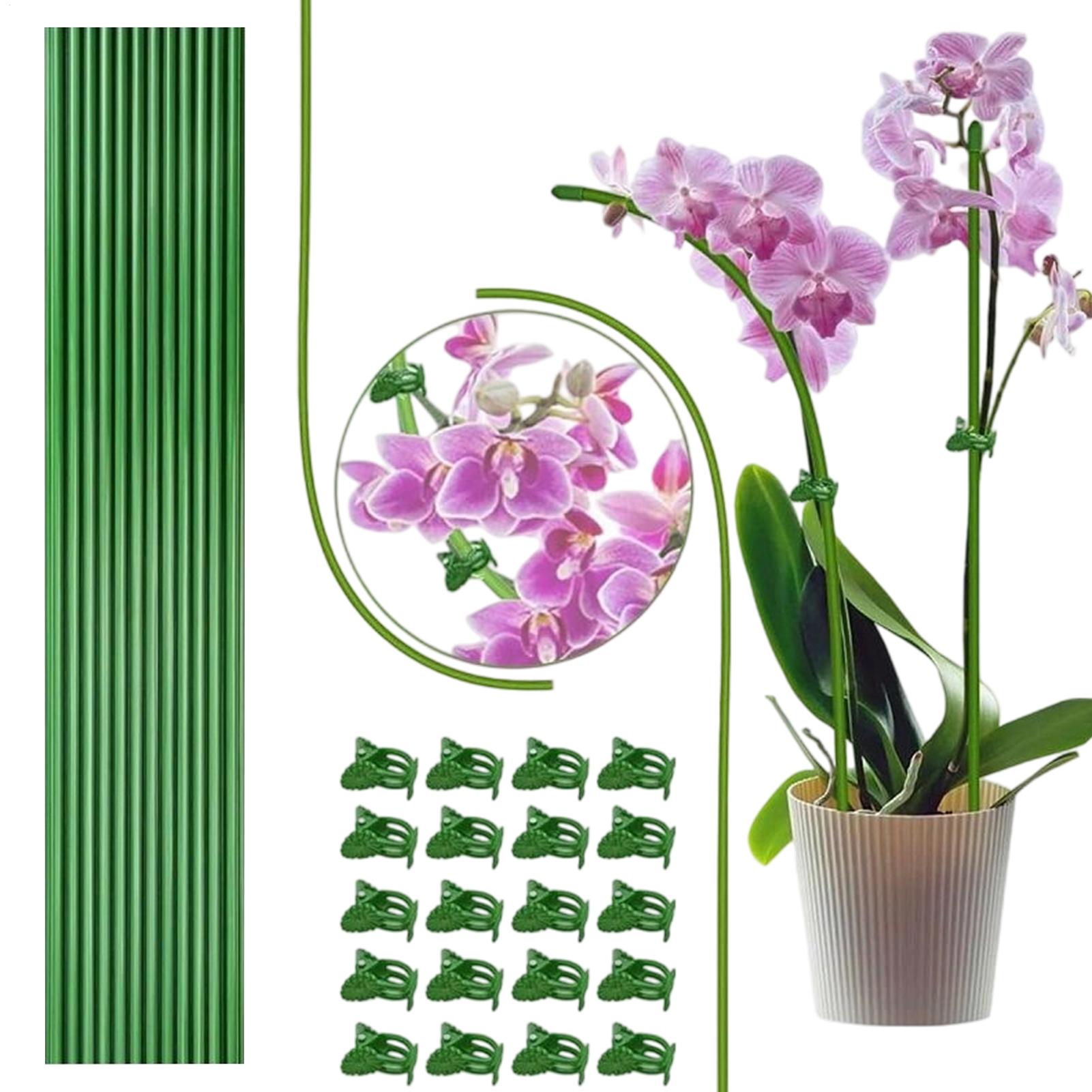

Garden Plant Stakes Potted Plants Stakes With Clips Bendable Stem Climbing Sticks Fixing Clamps For Vegetables Tomato Strawberry China Mainland