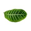 Easy To Clean Non Slip Doormat Diatom Mud Material Bathroom Foot Rug  Home Corridor