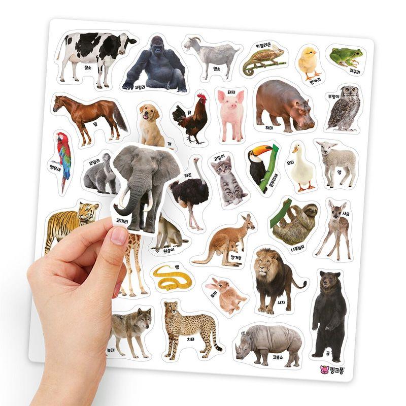 Pinkfong Bebefinn Sticker Book Set 6pk