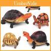 Angonoka Tortoise Pvc Realistic Model For Kids Educational Display Collectors Gift