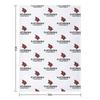 Plattsburgh Red Hawks Throw Blanket Soft Plaid Bed Fashionable Decorative Sofa Single Blankets