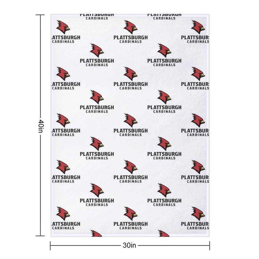 Plattsburgh Red Hawks Throw Blanket Soft Plaid Bed Fashionable Decorative Sofa Single Blankets