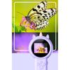 Handheld Pocket Digital Microscope for Youngly Explorers with Recording Functions High Definition Imaging Learning Tool
