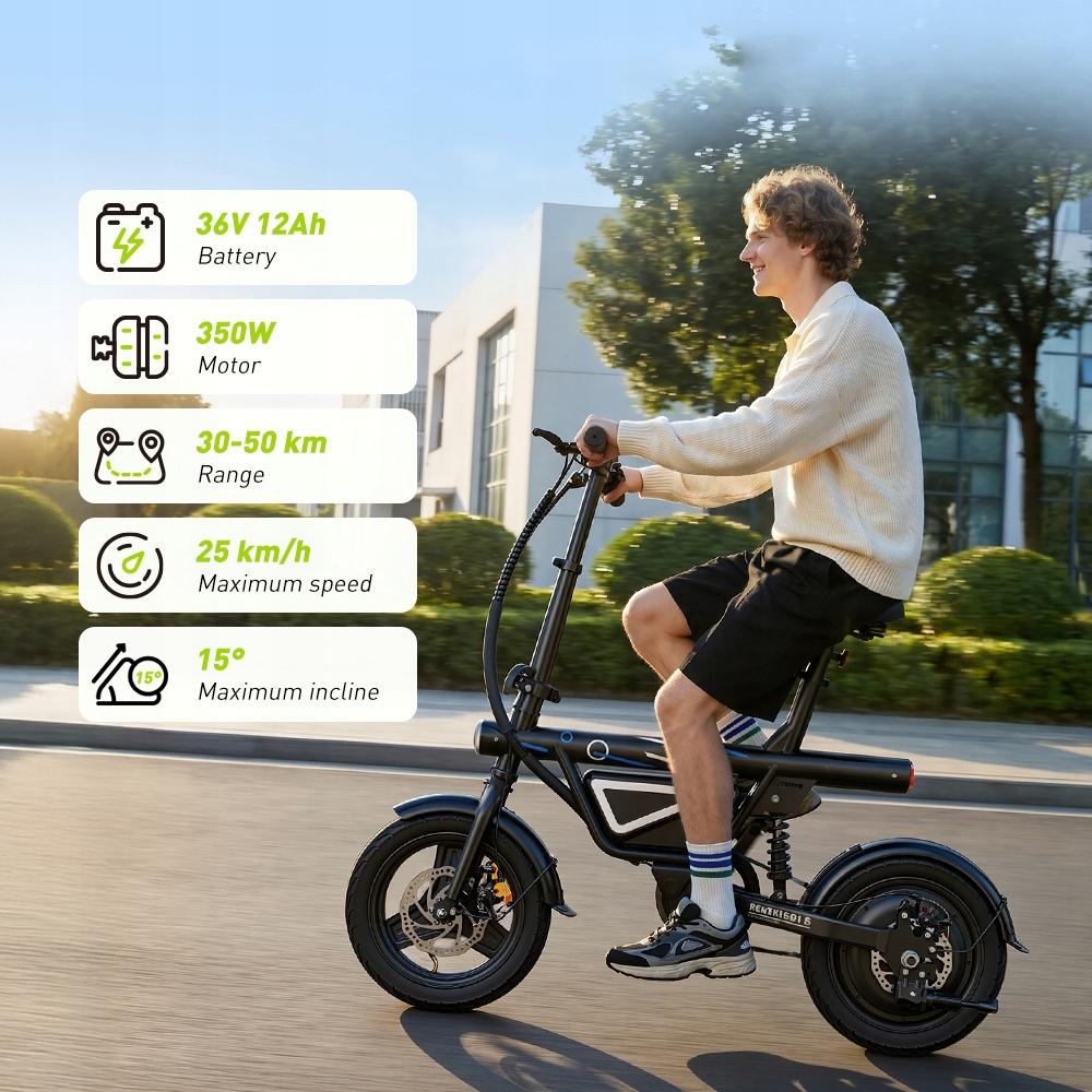 Stad Elektrische Fiets EB1S krachtig 250W 25km/u 36V10Ah 45 KM Volwassen elektrische fiets, e-bike, elektrisch