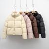 Simple short casual duck down stand-up collar thickened warm down jacket winter new bread jacket