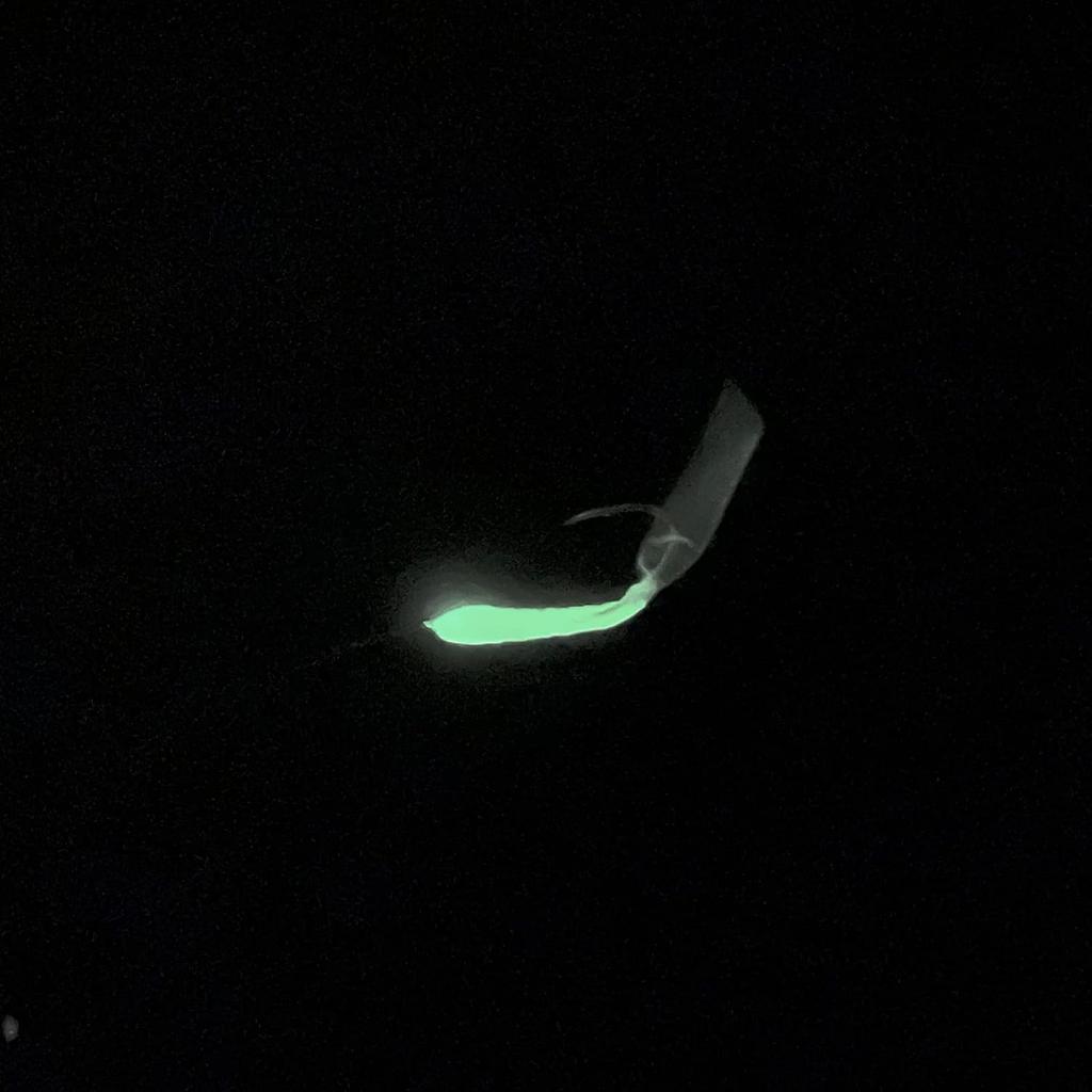 Hayabusa  Hayabusa  Small Mackerel Specialty No. 5 0.8 Luminous Skin