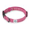 Embark Pets Illuminating Reflective Dog Size Small Collar, Pink,