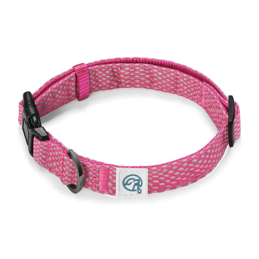 Embark Pets Illuminating Reflective Dog Size Small Collar, Pink,