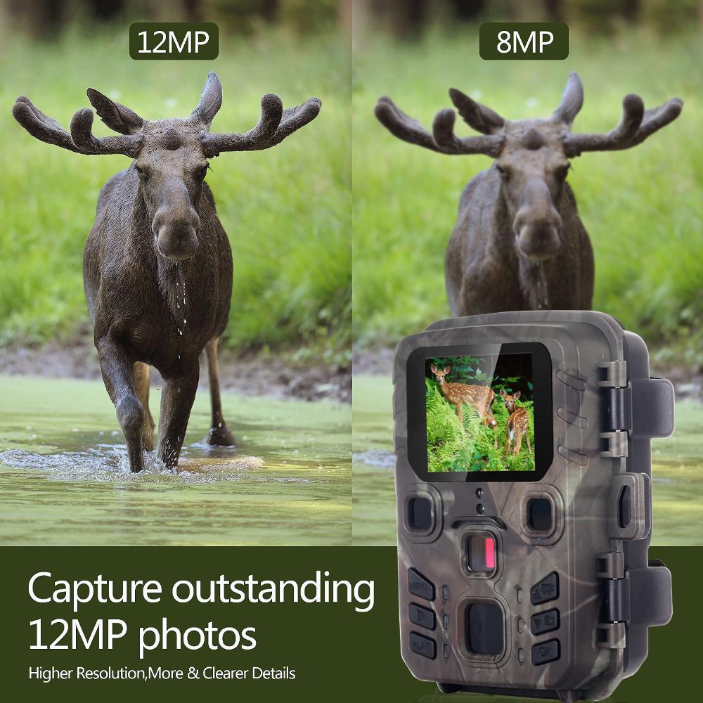 1080p Tracking Camere Drahtlose 12mp Jagd Spiel Kamera Nachtsicht Outdoor Mini Wildlife Scouting Kamera Wasserdicht
