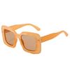JYL TS Sunglasses UV Square Women Style/5689
