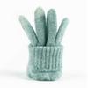 Winter adult thermal gloves women's versatile cold-proof wool plush knitted gloves outdoor riding gloves