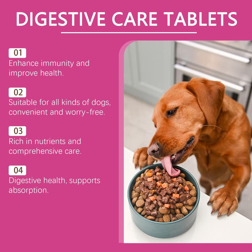Dog Probiotic Tablets Improve Intestinal Health And Promote Digestion And Absorption Of Pet Nutritional Supplements