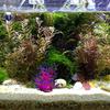Artificial Coral Decorative Plant Tree Decors for Fish Tanks Ornaments Colorful Ornaments Plant for Terrarium Plant