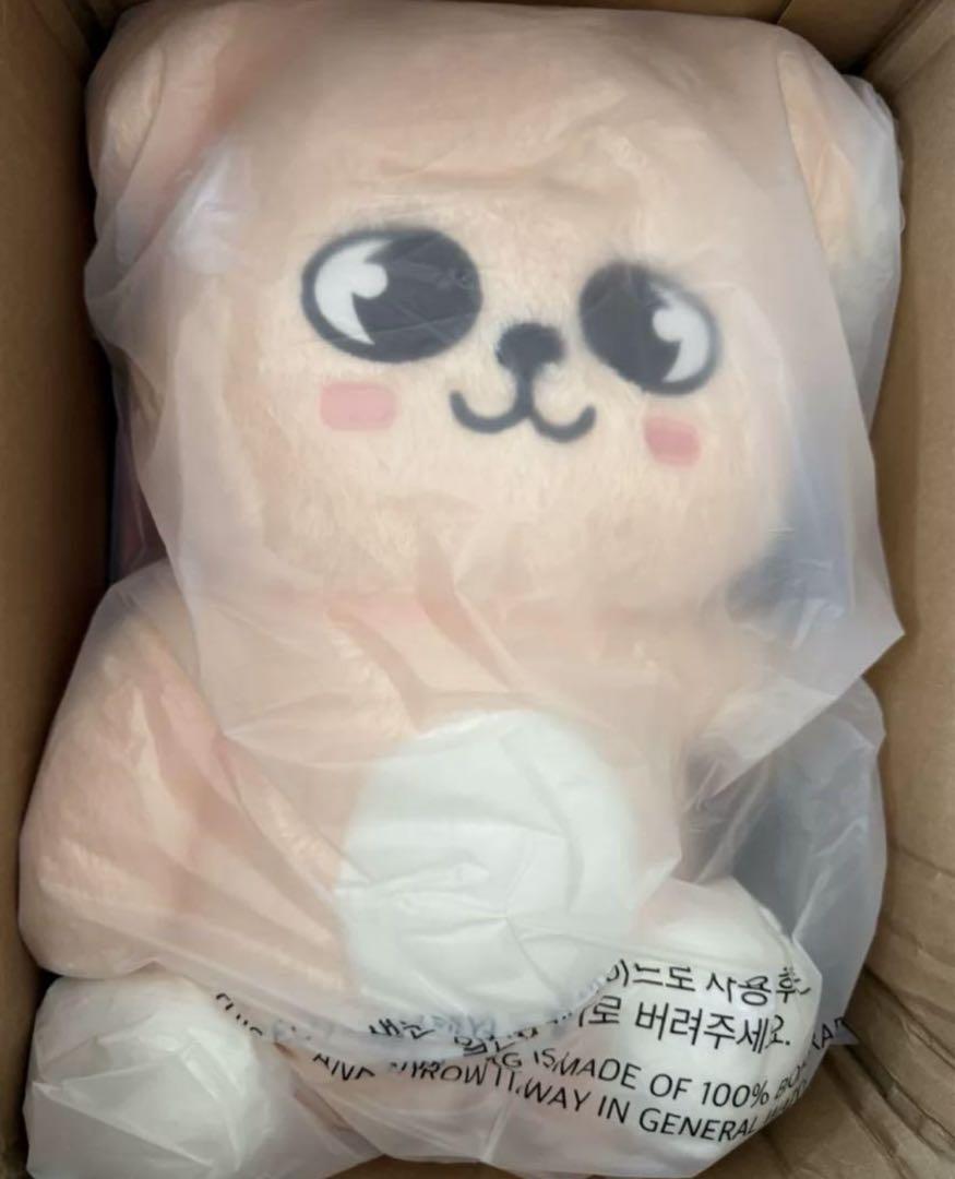 

[Б/У] StrayKids SKZOO Сынмин Плюшевая игрушка Мишка Щенок с бонусом