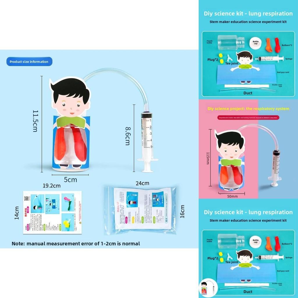 Kids Diy Physiology Model Of Lung Movement For Science Education And Handson Learning