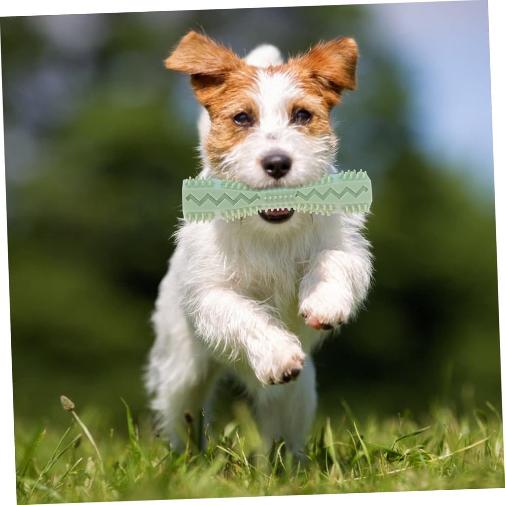 Haustier Zähneknirschen Trainingsstock Auslaufsicheres Spielzeug Zähneknirschen Reinigungsstock Verschleißfest Bissfest Leicht zu reinigendes Material Sicher Ungiftig Trainingsspielzeug