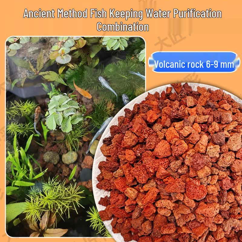 Lava Rock Stream Stone Set for Aquarium Substrate & Decoration