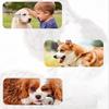 Dog Dental Cleaning Toy Squeaky Plush Tear-resistant Chew Cute Animal Corn Plaid Shapes for Small Medium Large Dogs Teething