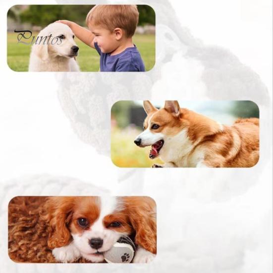 Dog Dental Cleaning Toy Squeaky Plush Tear-resistant Chew Cute Animal Corn Plaid Shapes for Small Medium Large Dogs Teething