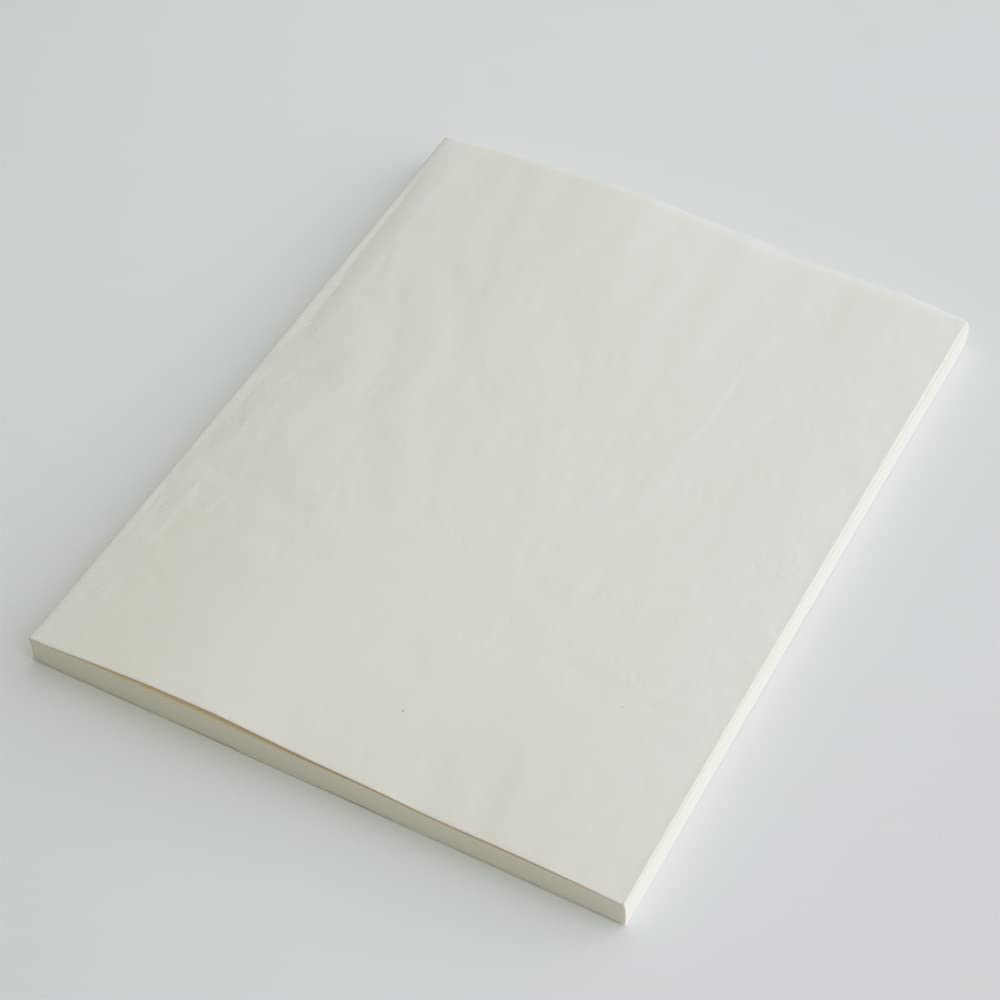 DESIGNPHIL MIDORI MD Notebook, A4, Unruled, 15296006