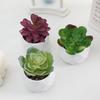 Diamond Succulent Set: Desktop Potted Ornament Decor