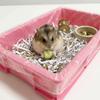 50Pcs Disposable Rabbit Cage Tray Cover Large Size Elastic Cage Tray Mat Transparent Thicken Cage Base Pad Dog Cat Pet