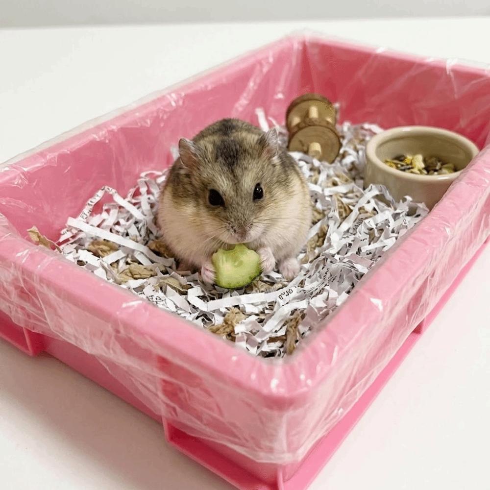 50Pcs Disposable Rabbit Cage Tray Cover Large Size Elastic Cage Tray Mat Transparent Thicken Cage Base Pad Dog Cat Pet
