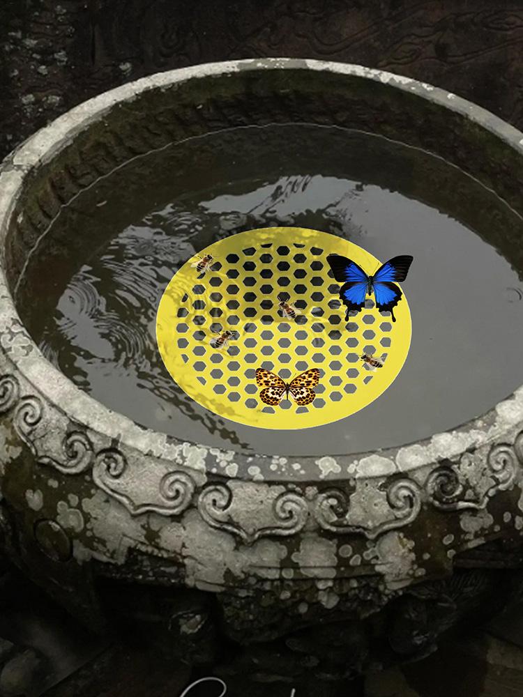 Bee Drinking Station Floating Station Island Waterer Bee Waterer and Butterfly Water Stations Bee Insect Drinking Tray Waterer