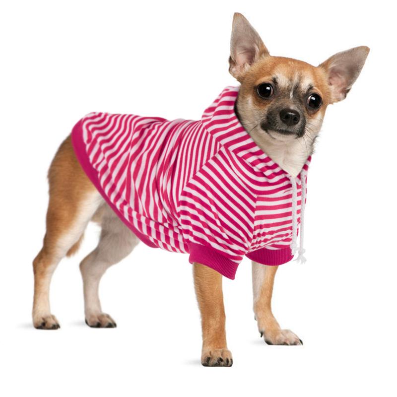 bailey and bella sweaters