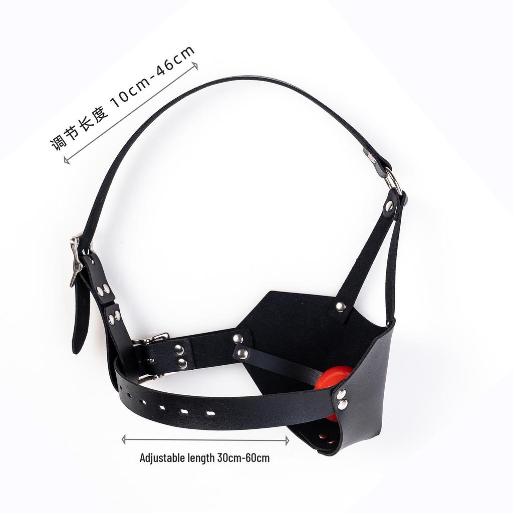 K9 Mask Harness Silicone Ball Gag: Adult Personality Mouth Cover