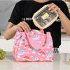 Lunch Bag Insulated Freezer Bag Pinny Thermal Bag Bag Hand Outdoor Carrying Lunch Bag Lunch Box