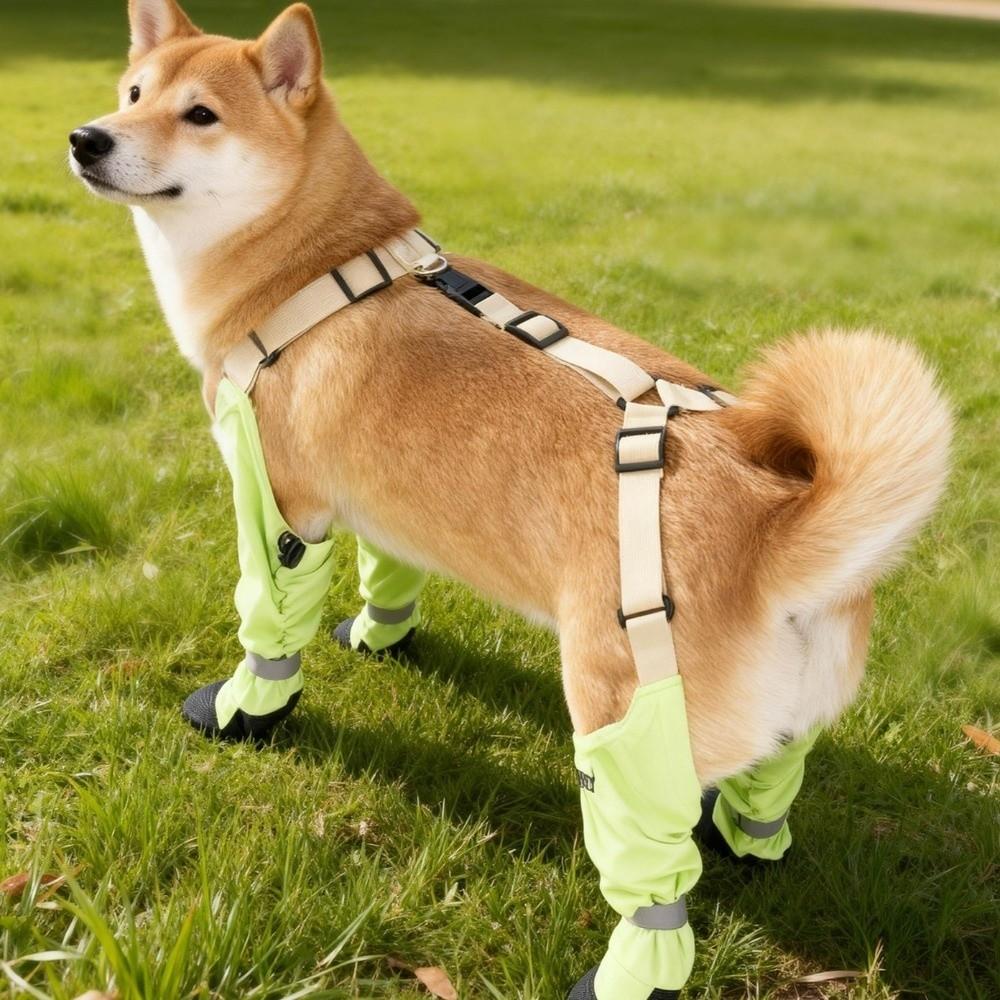 Anti-dirty Dog Foot Covers Waterproof Puppy Shoe Cover Suspenders Four-Legged Pants  Going Out