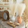 Runtow 10pcs Artificial Reed Grass ,55cm Fluffy Artificial Fake Flower Bulrush Reed Grass ,Pampas Grass Wedding Party Decor