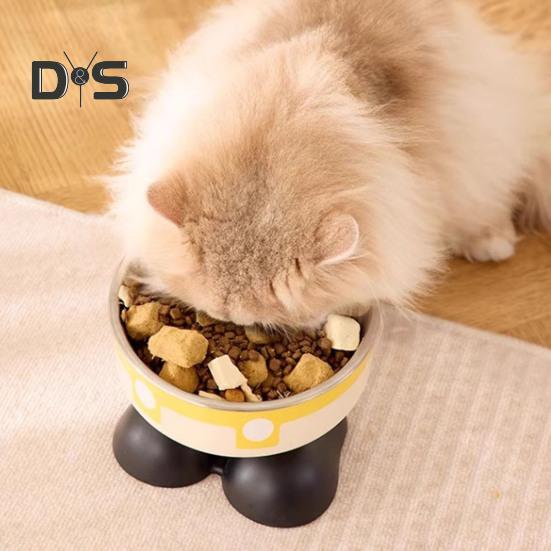 Elevated Cat Bowls Stainless Steel Pet Dish with Non-Slip Base Removable Pet Bowls for Food Water Wide Shallow Cat Dish