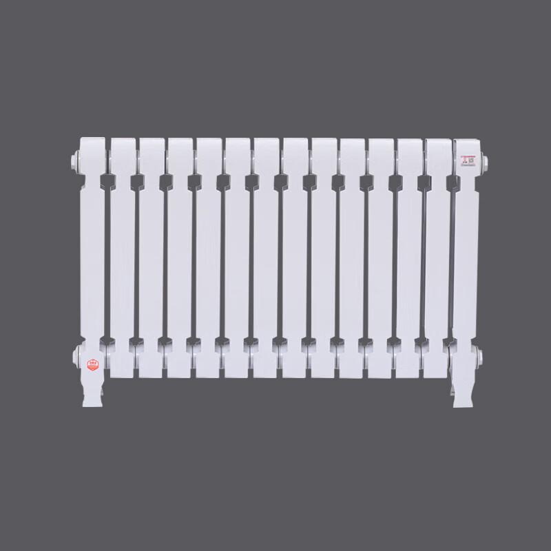 Lixing TZY2-6-8 Cast Iron Radiator