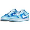 Nike Dunk Low Retro Qs 'Argon' 2022 Skate Shoes Sneakers DM0121-400
