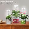 LED telescopic plant growth light fill light angel ring white warm light full spectrum succulent indoor dimmable 7W warm white light 90 white appeara