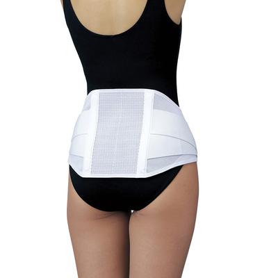 Nippon Sigmax Max Belt Me2 Lower Back Pain Belt Corset Waist Supporter Medical Supplies Manufacturer 322202(M)
