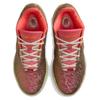Nike LeBron 21 'Queen Conch' Sneakers FN0708-800