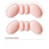 Fashion 1 Pairs Women Insoles High Heel Pad Adjust Size Adhesive Heels Pads Liner Grips Protector Sticker Pain Relief Foot Care Insert