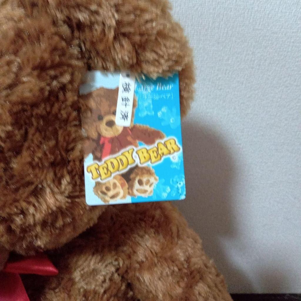 [USED] Large brown teddy bear