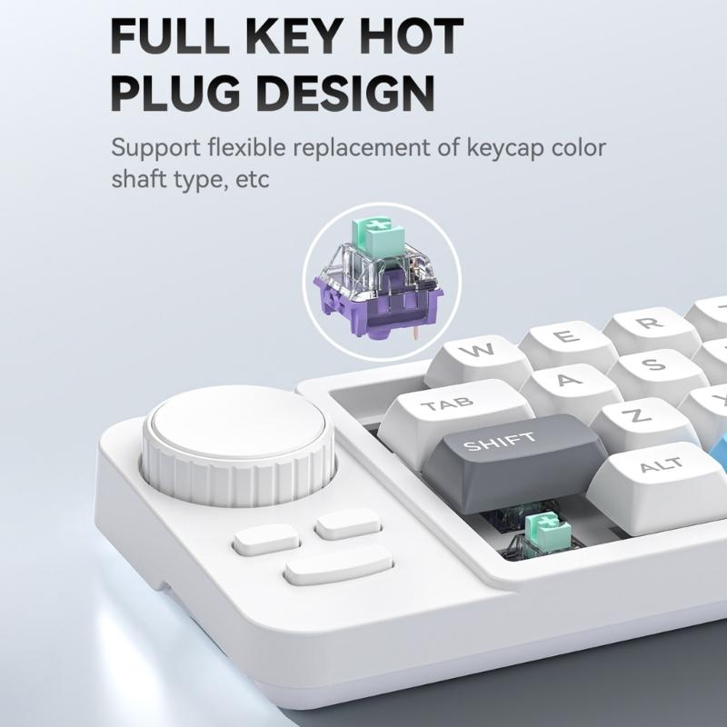 Farbbeleuchtete 19-Tasten Mini-Gaming-Tastatur Anpassbarer Joystick Doppel-Makro-Rad Hot-Swap-fähige Schalter