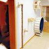 Étagères d'escalade murales pour chats, Échelons, Échelle, Griffoir, Grattoir, Lit, Cachette pour chats, Arbre, Tour, Accessoires de mobilier pour animaux de compagnie