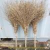 Senyan Large Outdoor Bamboo Wire Broom