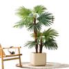 Indoor Artificial Fan-tailed Palm Tree: Large Green Potted Plant for Living Room Decoration