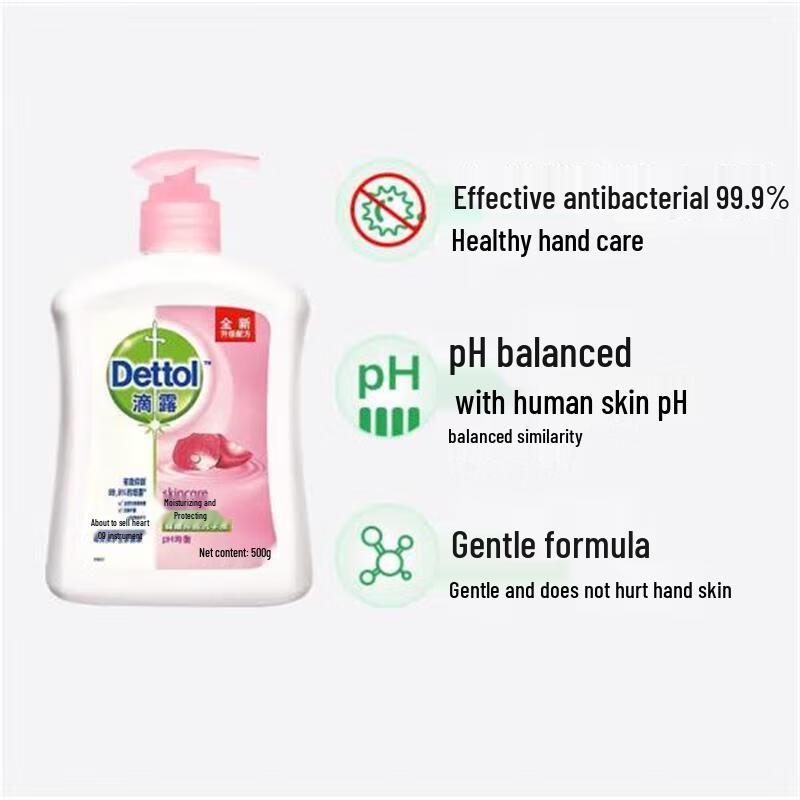 Dettol 99.9% Antibacterial Moisturizing Hand Wash (2 x 500g)