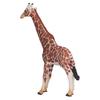 Giraffe Children"s Decoration Toys Solid Simulation Giraffe Zoo Children"s Decoration Toys(Giraffe )