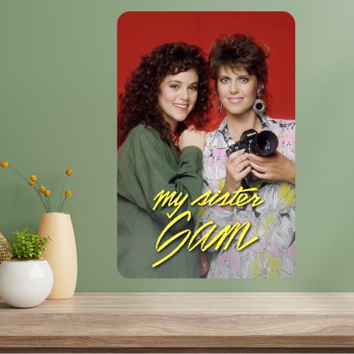 My Sister Sam Classic TV Show Metal Poster Sign 20x30cm(7.8x11.8inch)