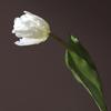 Flores de Tulipán Artificiales Tacto Real Tulipán de Tallo Largo Ramo con Hojas para Ramo de Boda Arreglo Floral de Primavera Decoración de Mesa para el Hogar