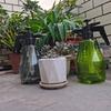 1.5L New Hand Pressure Sprayer Manual Air Pump Garden Disinfection Water Gardening Irrigation Watering Tools Spray